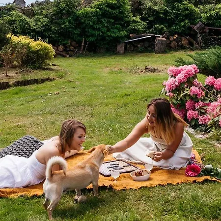 Za Wsia 3* Mysłakowice