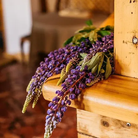 Za Wsia Hotel Mysłakowice