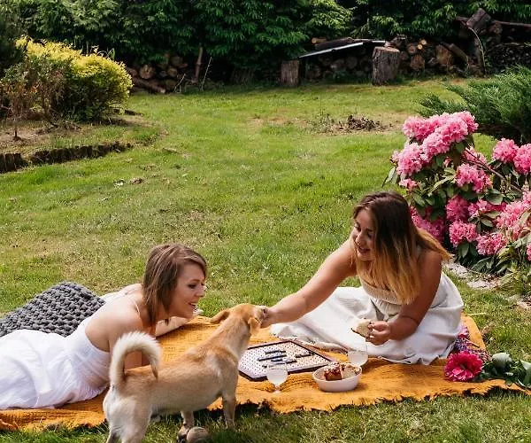 Za Wsia 3* Myslakowice